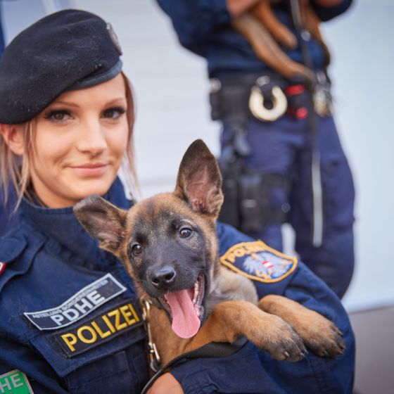 Polizeihund